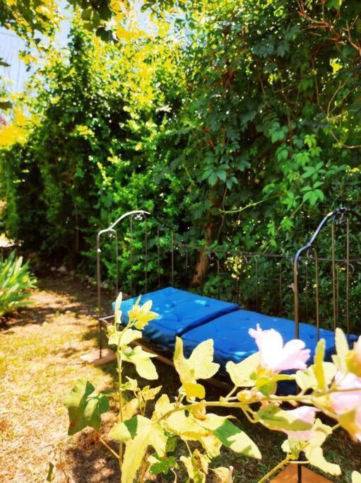 Gite La Petite Longere Septfonds Exterior foto